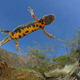 Imagen para el artículo titulado Las mejores fotografías no profesionales de naturaleza del año